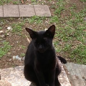 Meet your Posher, Xiara